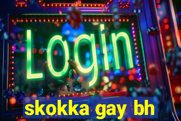 skokka gay bh